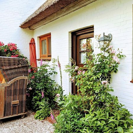Ferienhaus Ebbe Und Flut, Terrassen-Whg نيبلوم المظهر الخارجي الصورة