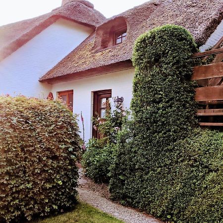 Ferienhaus Ebbe Und Flut, Terrassen-Whg نيبلوم المظهر الخارجي الصورة