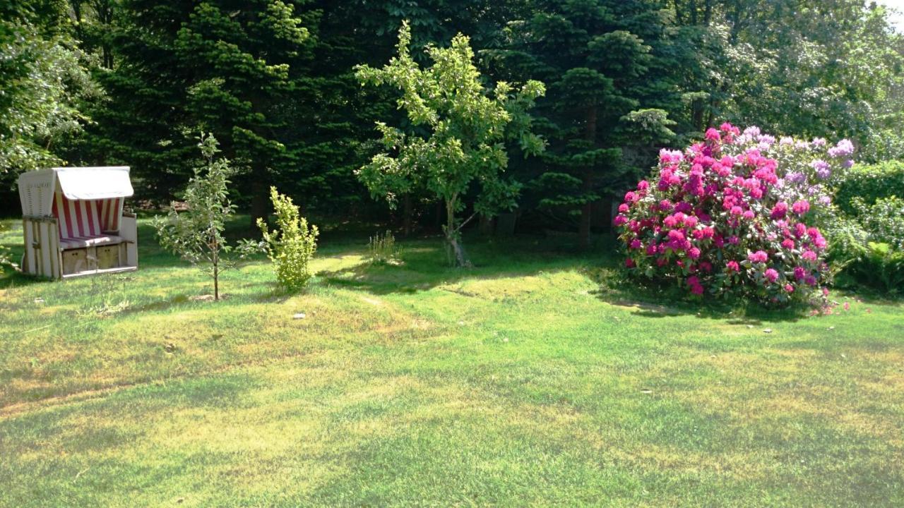 Ferienhaus Ebbe Und Flut, Terrassen-Whg نيبلوم المظهر الخارجي الصورة